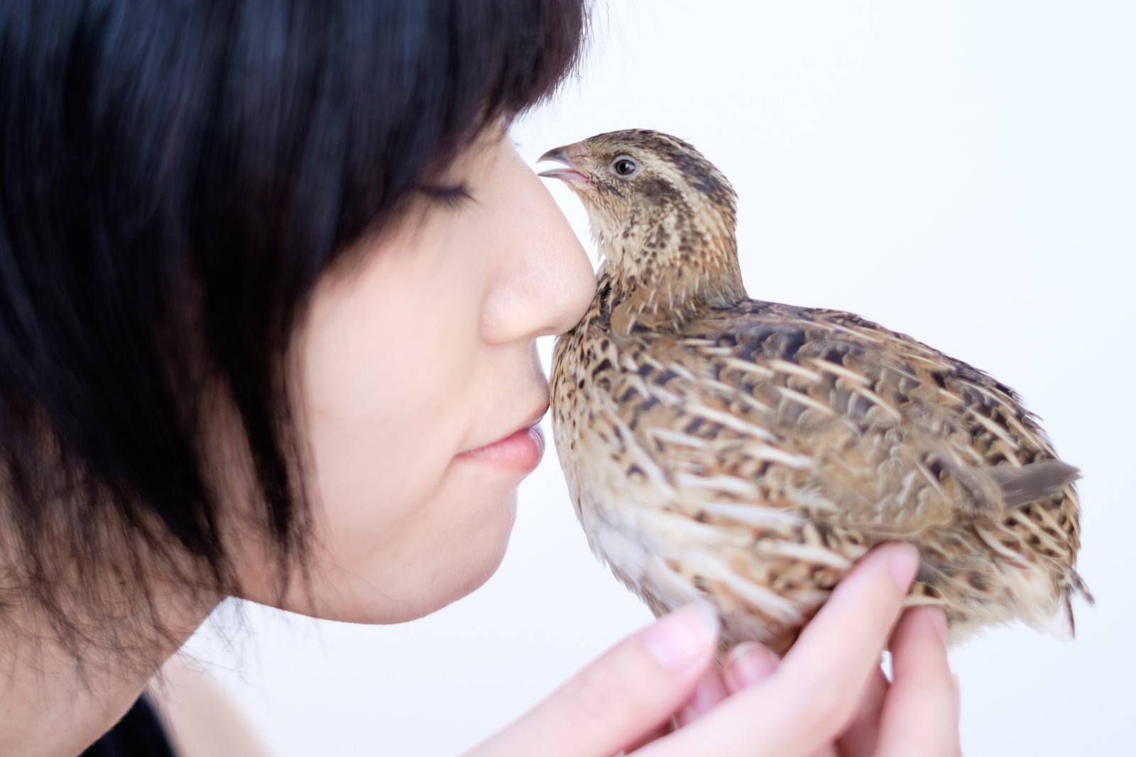うずらと女性